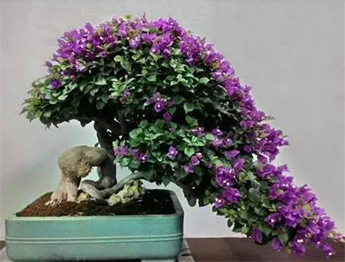 文昌帝君灵签帝25签_解签详解
