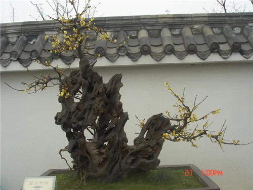 文昌帝君灵签帝33签_解签详解　　