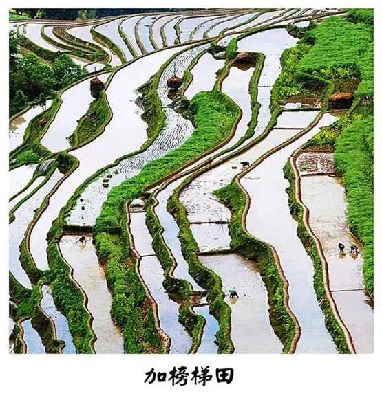 文昌帝君灵签帝99签_解签详解