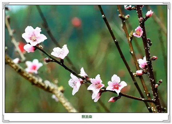 文昌帝君灵签帝90签_解签详解